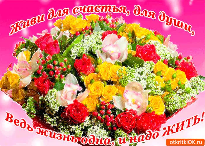 Картинка живи для души