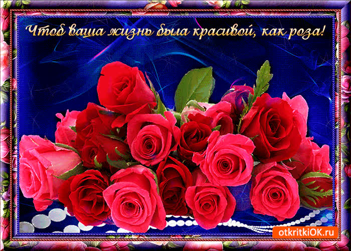 Картинка жизнь как роза