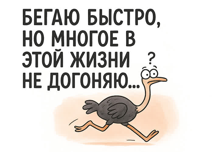 Postcard картинка с лёгким юмором