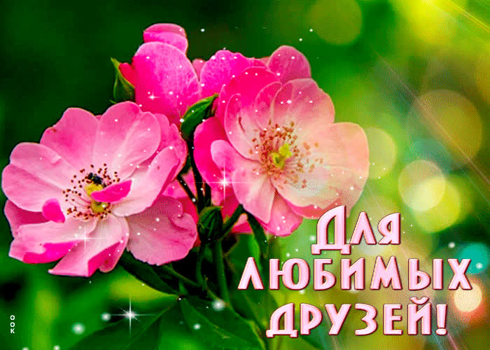 Картинка для моих друзей