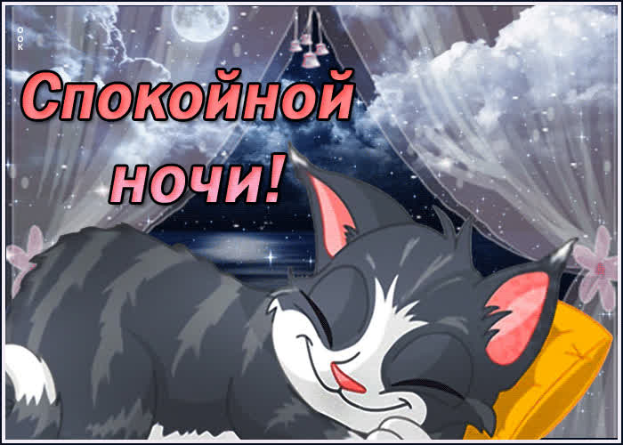 Картинка картинка спокойной ночи с котиком