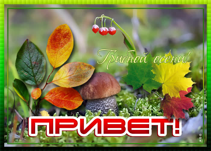 Картинка картинка хочу передать тебе привет
