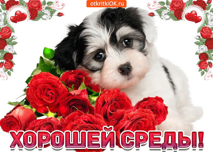 Картинка хорошей среды