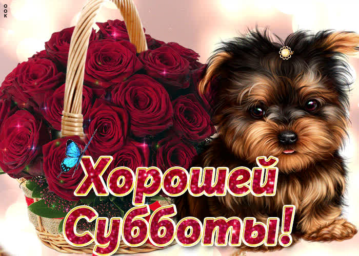 Картинка хорошей субботы