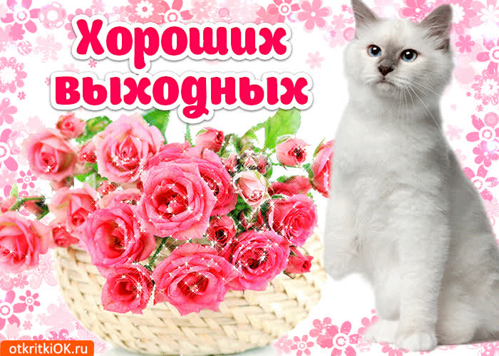 Картинка хороших выходных тебе