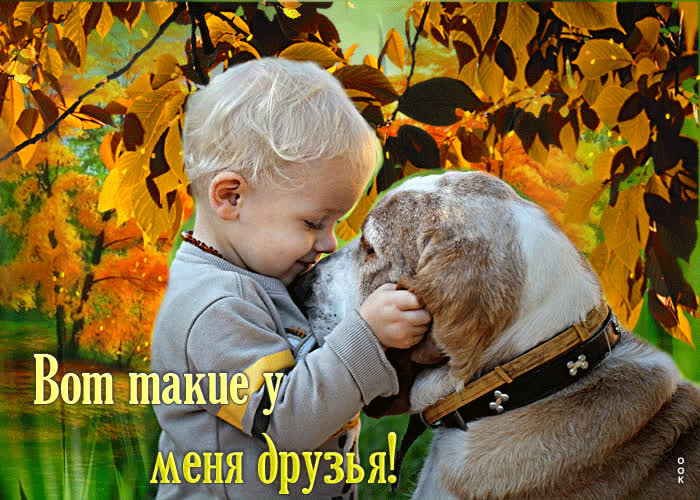 Postcard клевая открытка вот такие у меня друзья