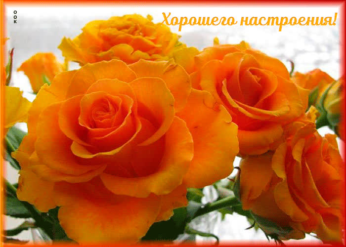 Картинка хорошего настроения