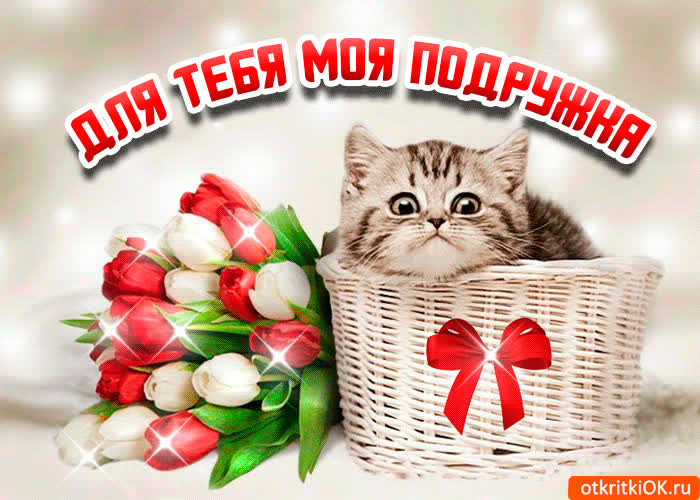 Картинка красивая картинка для подруги