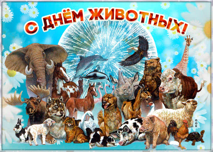 Картинка красивая картинка с днем животных