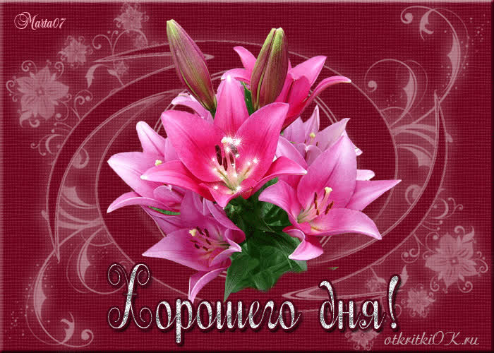 Картинка красивое пожелание хорошего дня