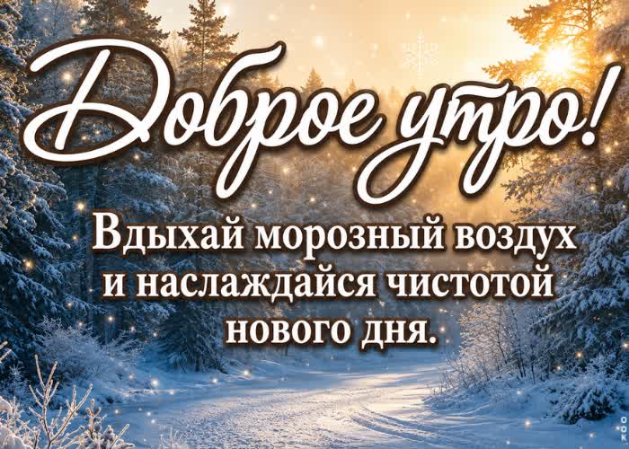 Postcard красивого начала дня и приятной атмосферы вокруг.