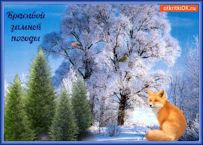 Картинка красивой зимней погоды