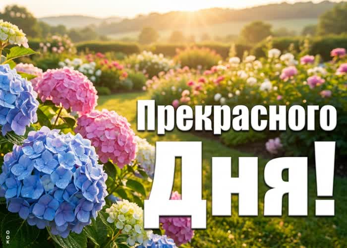 Picture лёгкого и светлого дня