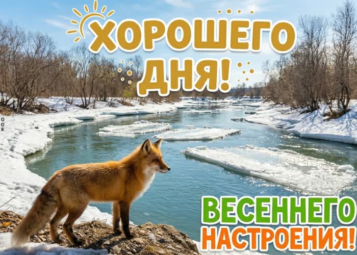 Postcard лёгкого утра и прекрасного настроения на весь день!