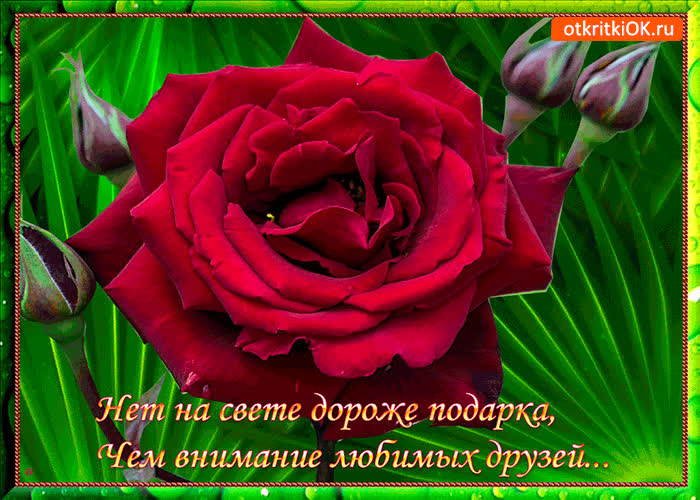 Картинка маленькое внимание для друзей