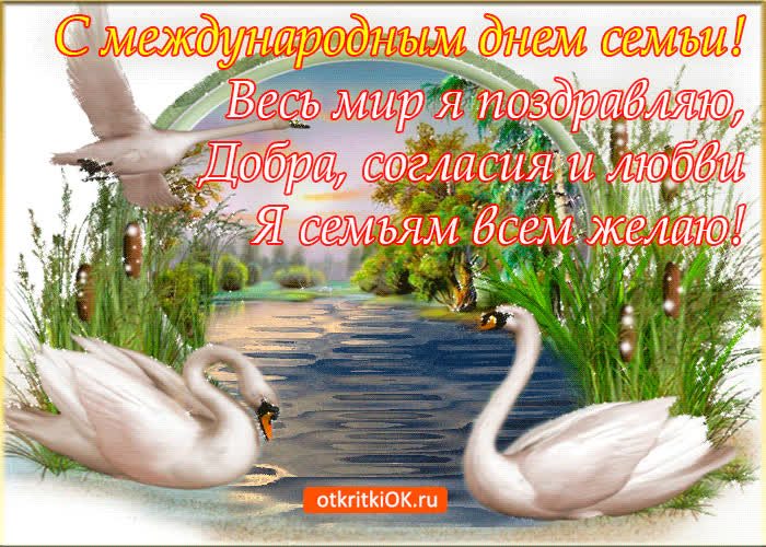 Картинка международный день семьи картинка