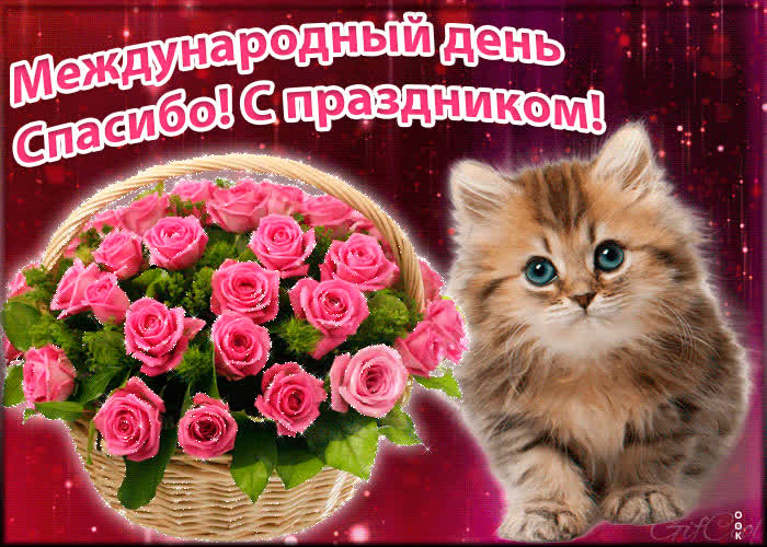Картинка картинка международный день спасибо gif