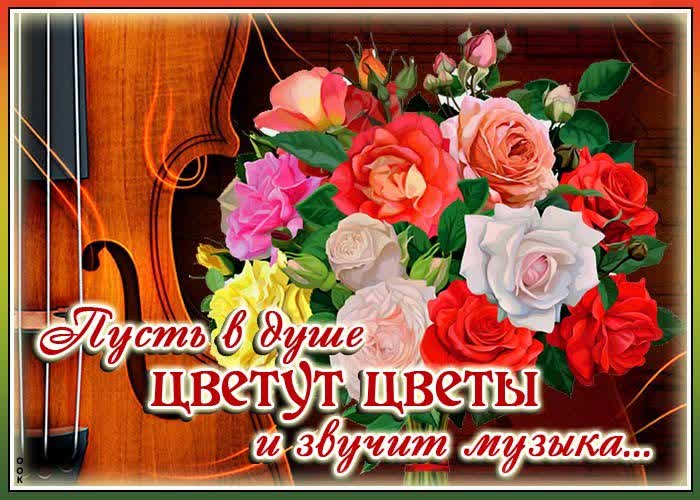 Картинка красивая картинка для тебя
