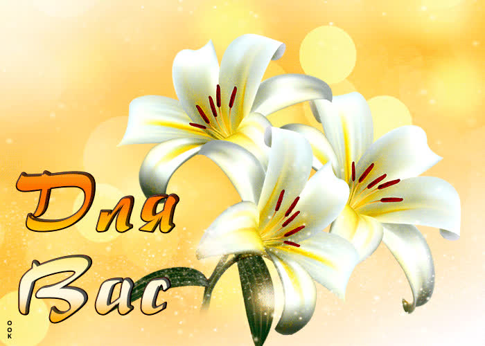 Postcard милая открытка с белыми цветами для вас