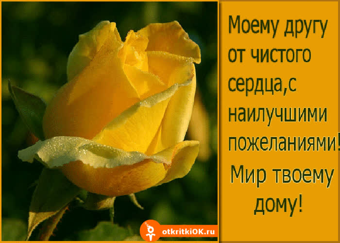 Картинка моему другу картинка
