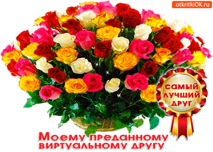 Картинка моему преданному другу