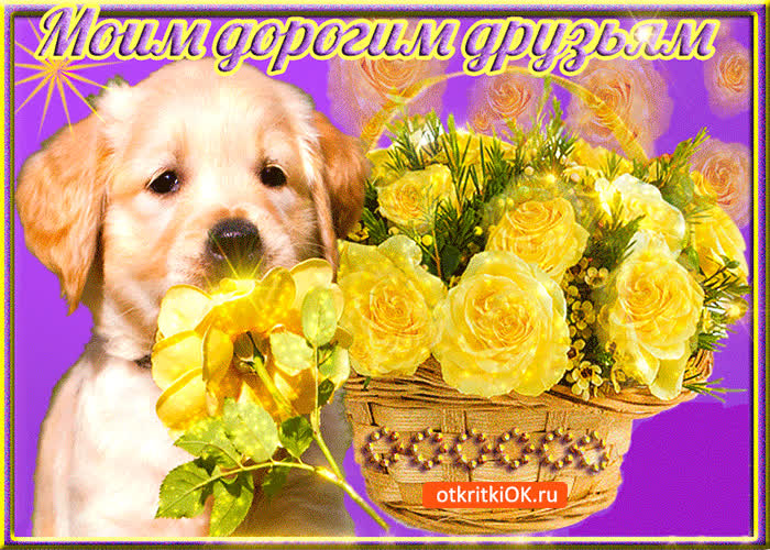 Картинка моим дорогим друзьям, вы лучшие