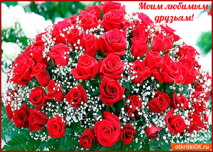 Картинка моим любимым друзьям эти цветы