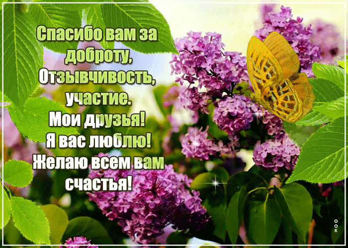 Картинка моим любимым друзьям