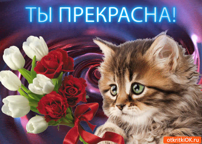 Картинка моя подруга, ты прекрасна