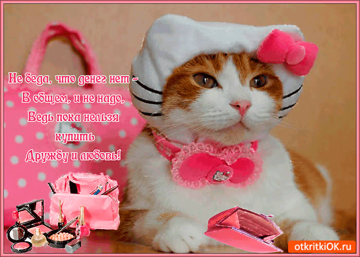 Картинка не беда что денег нет