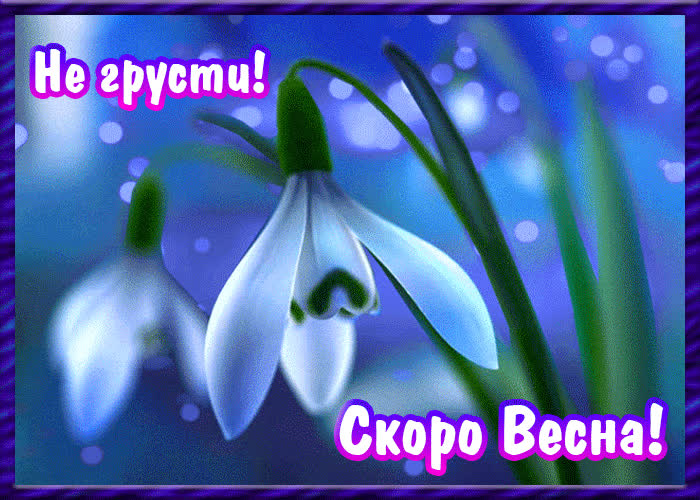 Картинка не грусти, скоро весна!