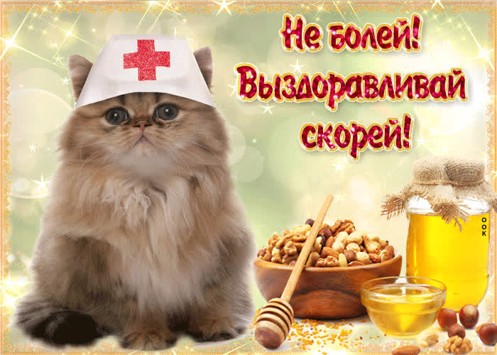 Картинка не нужна аптека, когда у тебя есть любовь близких