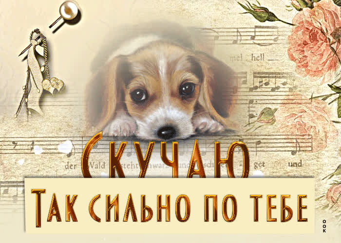 Picture необычная открытка с собакой скучаю так сильно по тебе