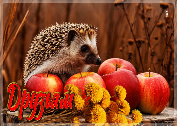 Postcard неповторимая осенняя гифка друзьям