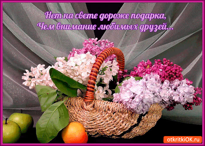 Картинка нет на свете дороже подарка