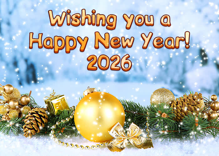 Picture new year