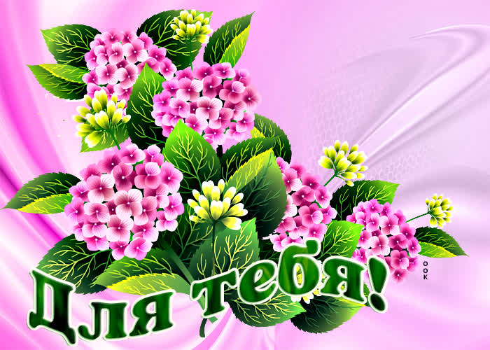 Картинка нежная картинка с цветами для тебя