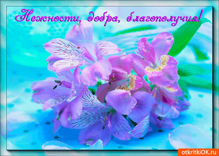 Картинка нежности, добра и благополучия