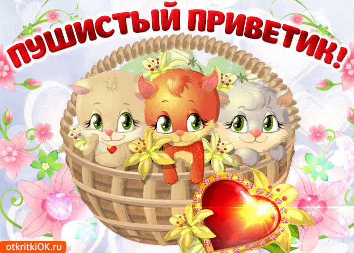 Картинка нежный и пушистый приветик