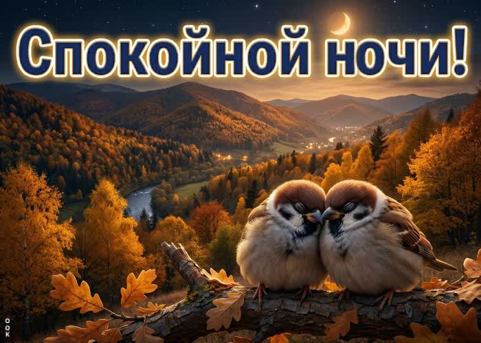 Postcard ночь украсила город осенними огнями.
