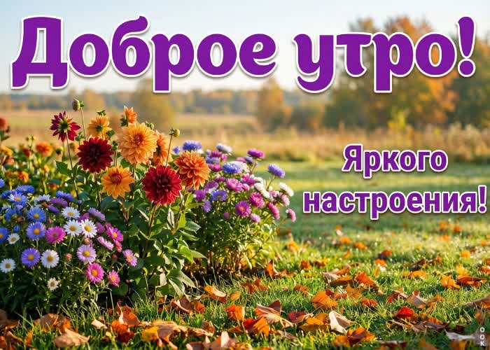 Postcard новый осенний день начинается с мягкого света и свежего воздуха.