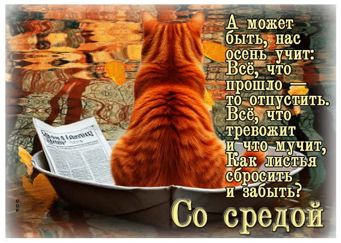 Postcard очаровательная и уютная осенняя гифка со средой