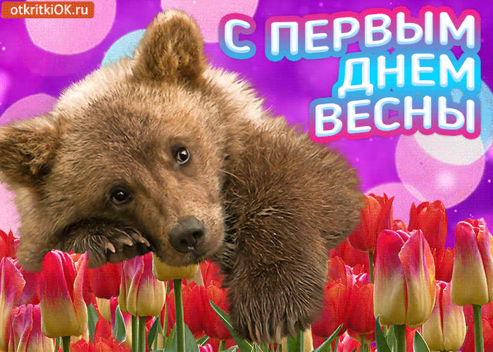 Картинка онлайн картинка первый день весны