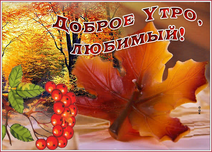 Postcard оригинальная открытка с листочками доброе утро, любимый