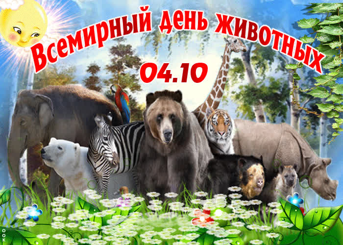 Картинка оригинальная картинка всемирный день животных