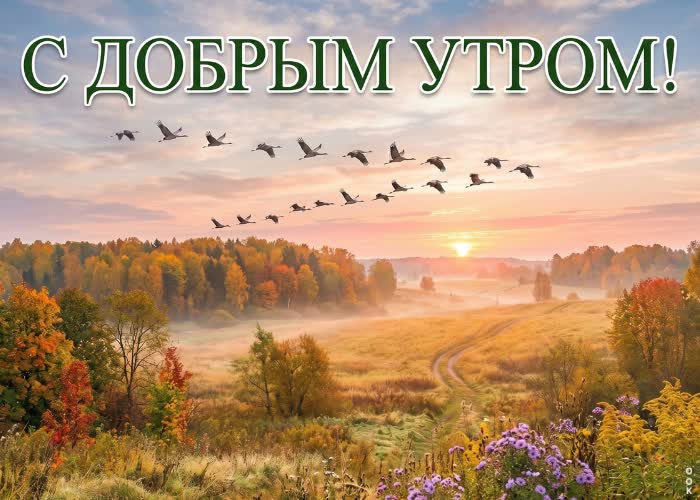 Postcard осень напоминает, что красота есть даже в самых простых моментах.