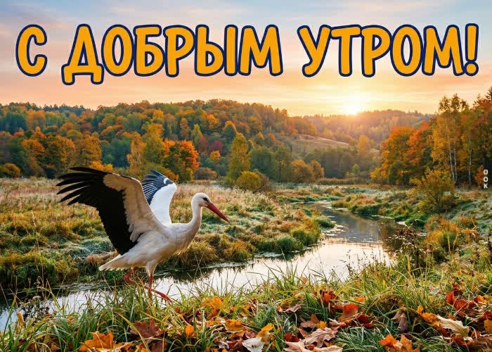 Postcard осень приносит особую атмосферу в каждое утро.
