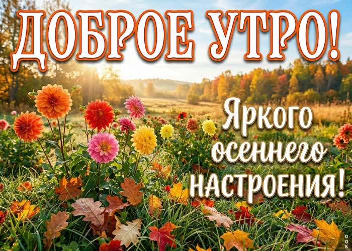 Postcard осеннее небо и прохладный воздух создают особое настроение.