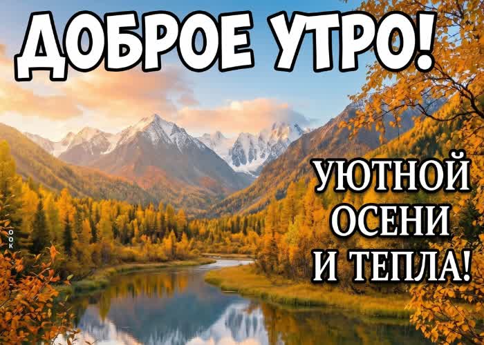 Picture осеннее утро начинается с мягкого света и спокойного настроения.