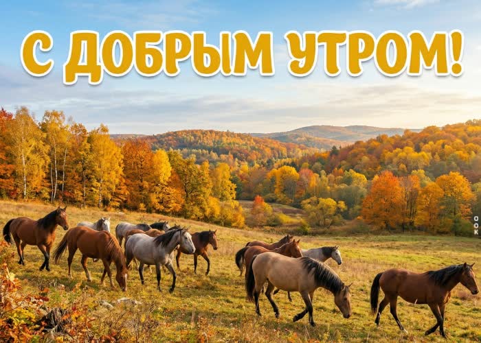 Postcard осенние листья кружатся, а новый день начинается.